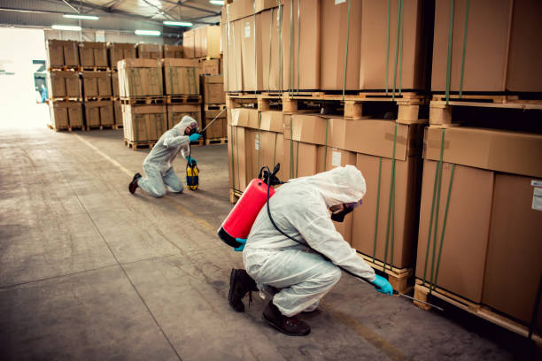 Best Pest Control Near Me in Birdsboro, PA
