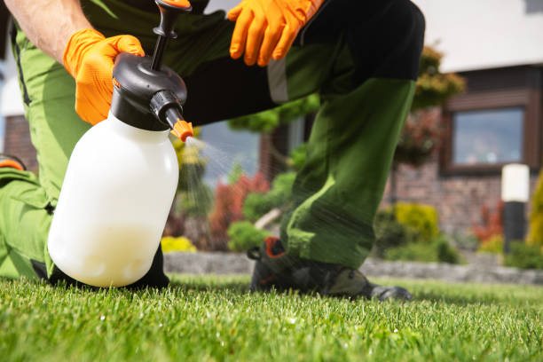 Best Wasp Removal Services  in Birdsboro, PA