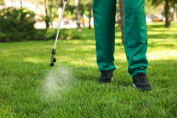 Best Commercial Pest Control Services  in Birdsboro, PA