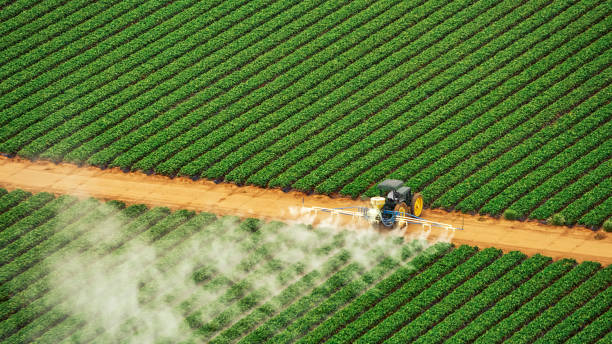 Best Mosquito Control Services  in Birdsboro, PA