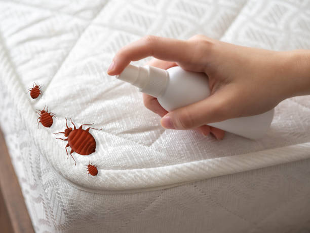 Best Insect Control  in Birdsboro, PA
