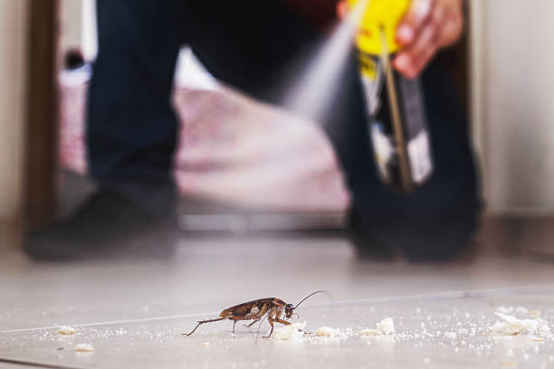Best Emergency Pest Control  in Birdsboro, PA